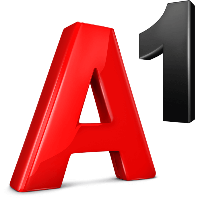 A1Logo